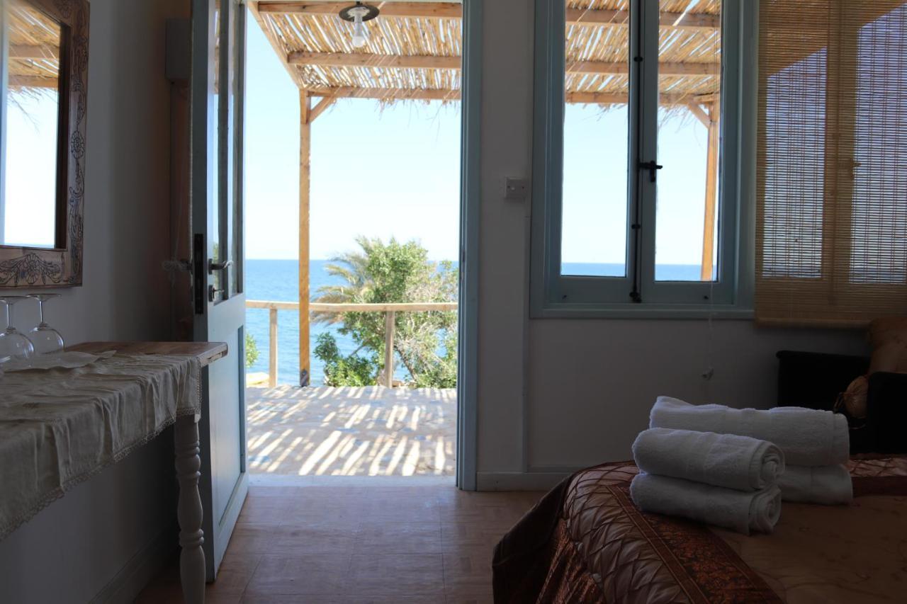 Summer Dream Cyprus Maroni ภายนอก รูปภาพ
