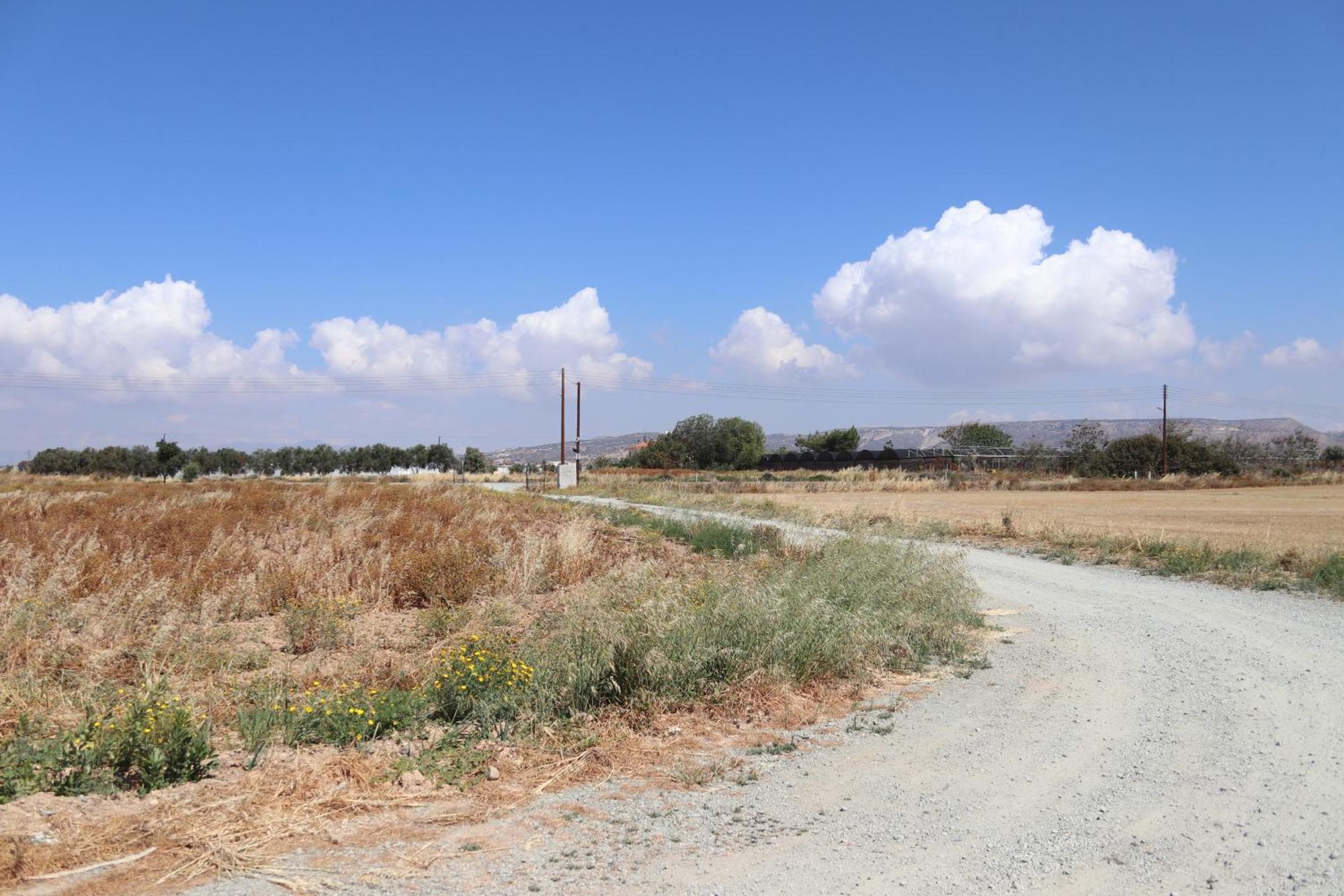 Summer Dream Cyprus Maroni ภายนอก รูปภาพ