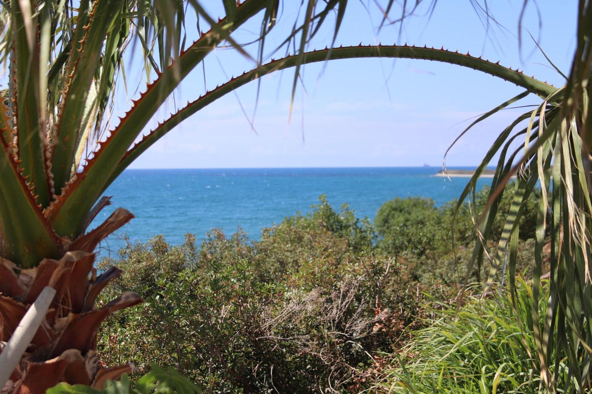 Summer Dream Cyprus Maroni ภายนอก รูปภาพ